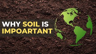 Save Soil  Why Soil Is Important  The Planet Voice [upl. by Annol]