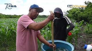 Refuerzo de Microorganismos en el Cultivo Maíz de Temporal [upl. by Yelyab590]