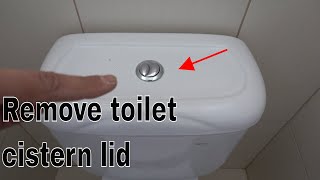 How to remove toilet cistern lid  Dual flush buttons [upl. by Lewert]