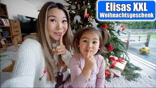 Elisas XXL Weihnachtsgeschenk 😍 Kaufmannsladen aufbauen  Ferien Zeit Familien VLOG  Mamiseelen [upl. by Leipzig]