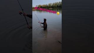 😱🦈 Dinosaur cought ‼️ fishing fishingvideo bigfish dinosaur omg fyp sturgeon bigcatch [upl. by Mahda]