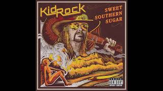 Kid Rock  Raining Whiskey Audio [upl. by Pattin]