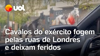 Cavalos do exército fogem pelas ruas de Londres e deixam feridos vídeo flagra fuga [upl. by Ob]