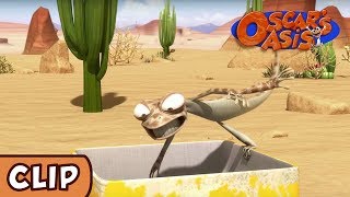 Oscars Oasis  Box of Green Gloop Anyone  HQ  Funny Cartoons [upl. by Suirauqram854]