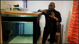 Water Cycling for a New tank  Beneficial bacteria growth Tips [upl. by Llovera827]