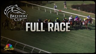 Breeders Cup 2024 TAA Stakes Full Race  NBC Sports [upl. by Aihtennek]