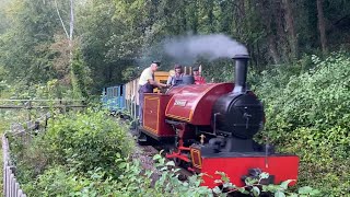 AMBERLEY CHALK PITS TRAIN RIDE 10923 [upl. by Sharity]