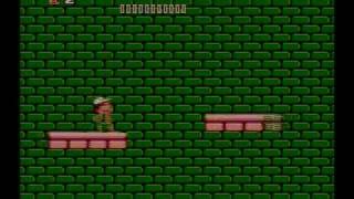 Adventure Island NES  Level 83  Perfect Run Wii Virtual Console [upl. by Hardie925]