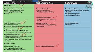 Endocrine Physiology  Hypothalamus amp Pituitary Gland [upl. by Landon433]