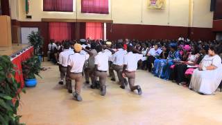 concordia college herero cultural group [upl. by Portwine]