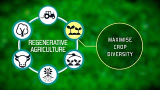 Regenerative Agriculture  Key Principle 2  Maximise crop diversity [upl. by Ferrigno]