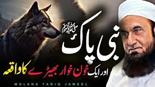 Nabi SAW ki Mohabbat Aik Bherdia Ka Waqia 2024  Maulana Tariq Jameel [upl. by Gildas]