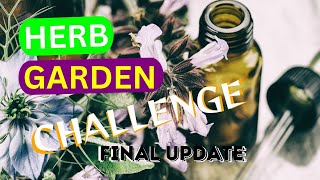 HERB GARDEN CHALLENGE  FINAL UPDATE  6252024  HERBS FOR  planterhgc2024 [upl. by Jonina525]