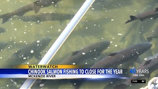 Chinook salmon fishing to close for the year [upl. by Asilanna376]