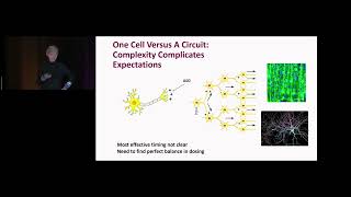 What We Are Learning About Ion Channels  2024 Nanorare Patient Colloquium [upl. by Svetlana]