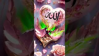 Allah hu akbar 🕋🕋🕋 viral subscribe music allah [upl. by Eidnim79]