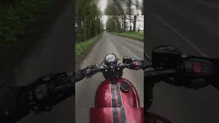 Triumph Bobber Gold line  Raw Exhaust sound [upl. by Gridley]