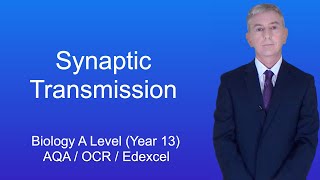 A Level Biology Revision Year 13 quotSynaptic Transmissionquot [upl. by Samuela]