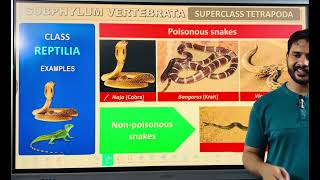 Phylum Chordata part 2 class 11 and neet [upl. by Vonni]