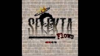 JAMAICAN DANCEHALL MIX BY FLOWS [upl. by Anelah516]