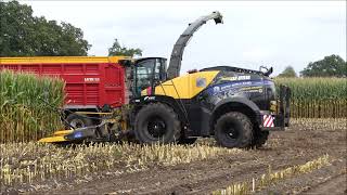 Jan Bevers mais hakselen 2023 2  New Holland FR 920 [upl. by Pamela]