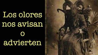 LOS OLORES NOS AVISAN O ADVIERTEN [upl. by Jacquet310]