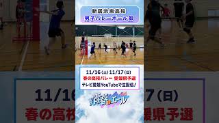 春高バレー2024意気込み動画 [upl. by Malka1]