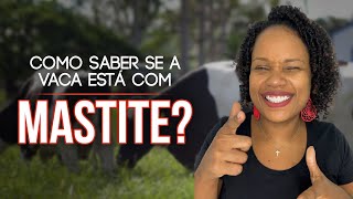 COMO SABER SE A VACA ESTÁ COM MASTITE [upl. by Nnomae]