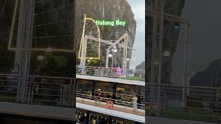 Welcome to Halong Bay apt halongbaytravel vietnamesefood vietnam [upl. by Seka]