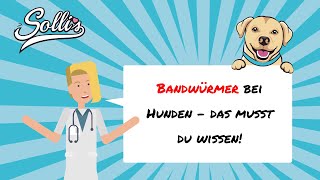 Bandwurm beim Hund  Wie bekommen Hunde Bandwürmer amp die Behandlung [upl. by Cindra325]