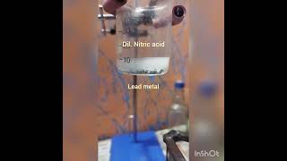 Lead metalPb reacts with dilute Nitric acid chemistry [upl. by Lotty]