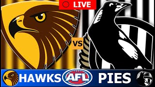 HAWTHORN vs COLLINGWOOD  2024 AFL Round 19 Live Stream [upl. by Skier]