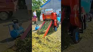 Silage baler convenient for storage replaces traditional fermentation tank baler [upl. by Libove]