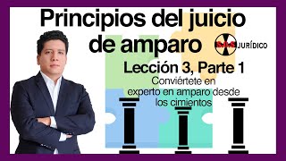 PRINCIPIOS DEL JUICIO DE AMPARO Lección 3 parte 1 Experto en amparo desde los cimientos [upl. by Leunamesoj]