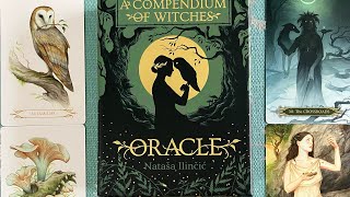 A Compendium of Witches Oracle Flip Through in HD [upl. by Bowe947]