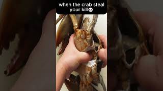 when the crab steal ur kill💀 roblox strongestbattlegrounds steal cooked [upl. by Farman]