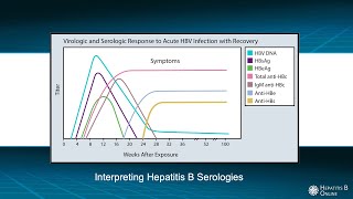 Interpreting Hepatitis B Serologies [upl. by Kantor354]