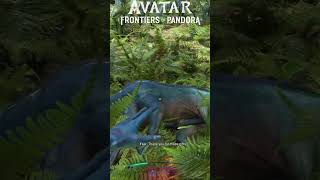 Avatar Frontiers of Pandora vs Far Cry 6  Hunting Comparison gaming [upl. by Ludwig175]