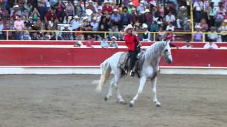 El Chapo De Sinaloa  En Vivo quot Recostada En La Cama quot [upl. by Andrien]