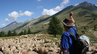 Grandeur Nature  La Transhumance  Documentaire Animalier [upl. by Oskar]