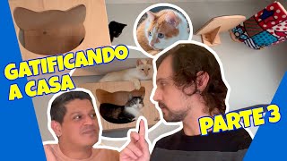 🔴 Nossos GATOS já estão se ENTENDENDO e CURTINDO a GATIFICAÇÃO [upl. by Eedyah]