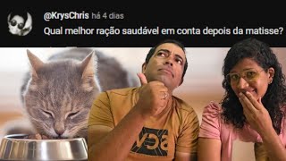 Melhor RAÇÃO para GATOS BOA e BARATA [upl. by Nahtannhoj]