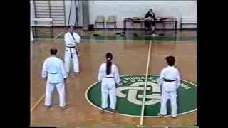 Karate Panizzi 8111992 1 Parte [upl. by Adiana]