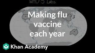 Making flu vaccine each year  Infectious diseases  Health amp Medicine  Khan Academy [upl. by Judas]