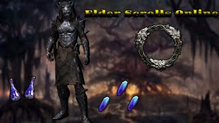 Elder Scrolls Online Meet ZerithVar  My New Companion  Join Me on This Adventure [upl. by Negris]