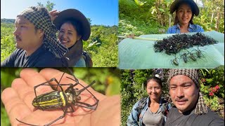 Spider hunting part one  how to hunt cook and eat spider bizarre Naga delicacy  Nagaland [upl. by Maier453]