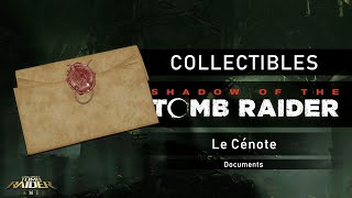 Shadow of the Tomb Raider  Collectibles  Le Cénote  Documents [upl. by Adrianna173]