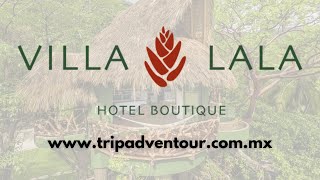 Villa Lala Hotel Boutique Puerto Vallarta  TripAdventour [upl. by Graig246]