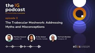 Ep 3 The Trabecular Meshwork Addressing Myths and Misconceptions [upl. by Ainedrag]