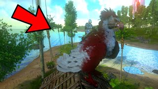 Cómo tamear un argentavis en ark mobile [upl. by Anelrac]